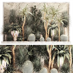 Desert plants for a house with rock wall and gravel 1278