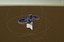 Sci-Fi Arena Shooter Complete