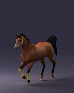 Horse 0293