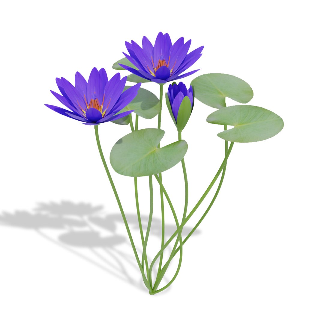 Water Lily Blue 3D model https://p.turbosquid.com/ts-thumb/kJ/7fuaez/LW/09untitled1copy/jpg/1684112492/1920x1080/fit_q87/c23730bb4a9a3ed74bcae0dbe3da5f7c144356d3/09untitled1copy.jpg