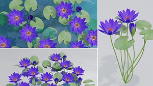 Water Lily Blue 3D model