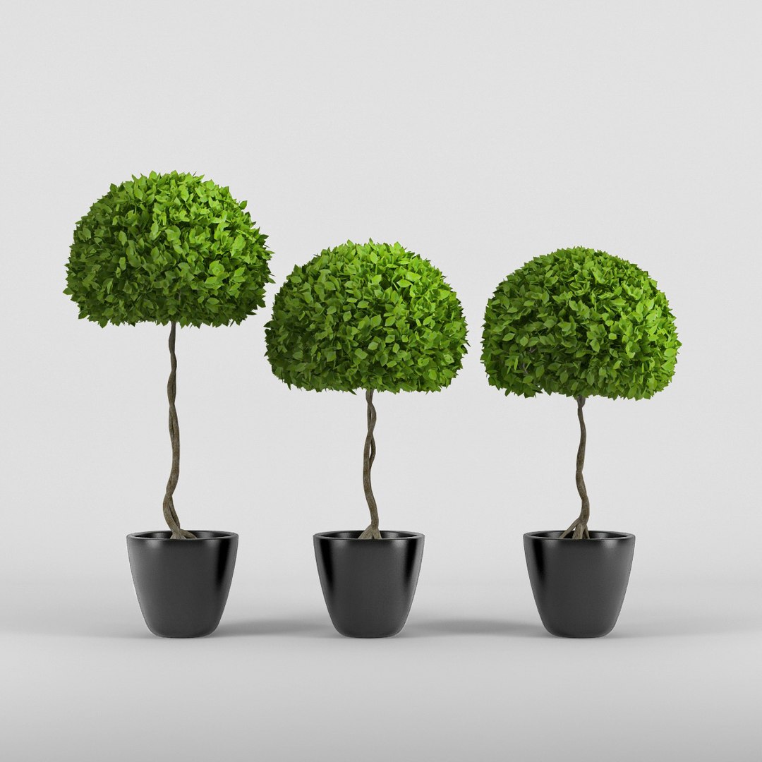 3d Model Tree Plant