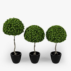 Three plants