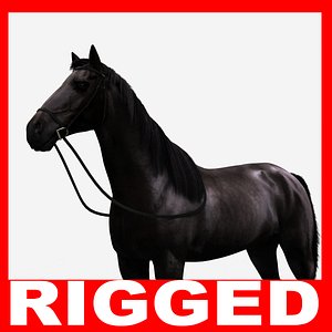 Black Horse (Rigged)