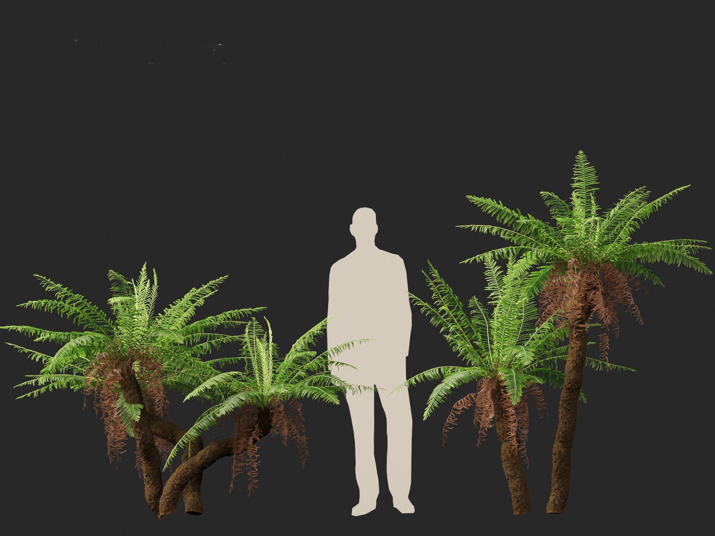 Blechnum nudum - Fishbone water fern 3D model https://p.turbosquid.com/ts-thumb/kJ/Mdiqgj/tT/blechnumnudum018/jpg/1695817855/1920x1080/fit_q87/fb0a2fdbe096469ec3cc200edf1a45a119628c56/blechnumnudum018.jpg