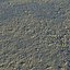 Muddy Ground With Pebbles 02