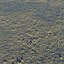 Muddy Ground With Pebbles 02