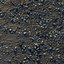 Muddy Ground With Pebbles 02