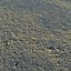 Muddy Ground With Pebbles 02