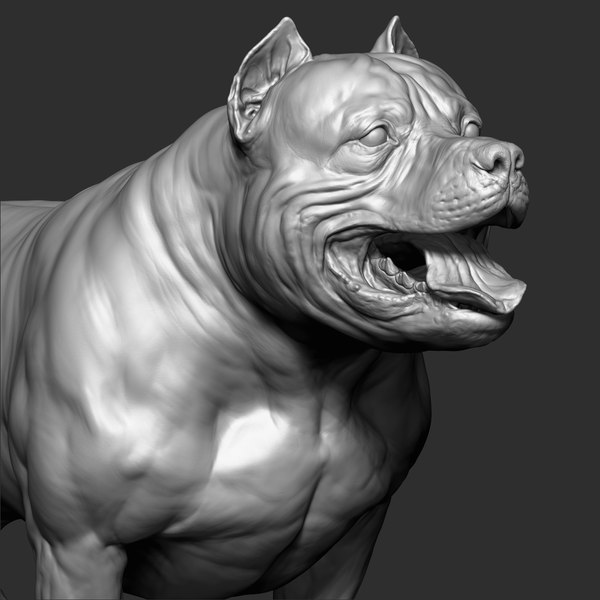 Ротвейлер Zbrush