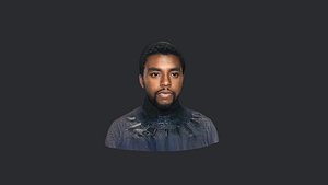 Chad Boseman Black Panther- Realistic bust head ready