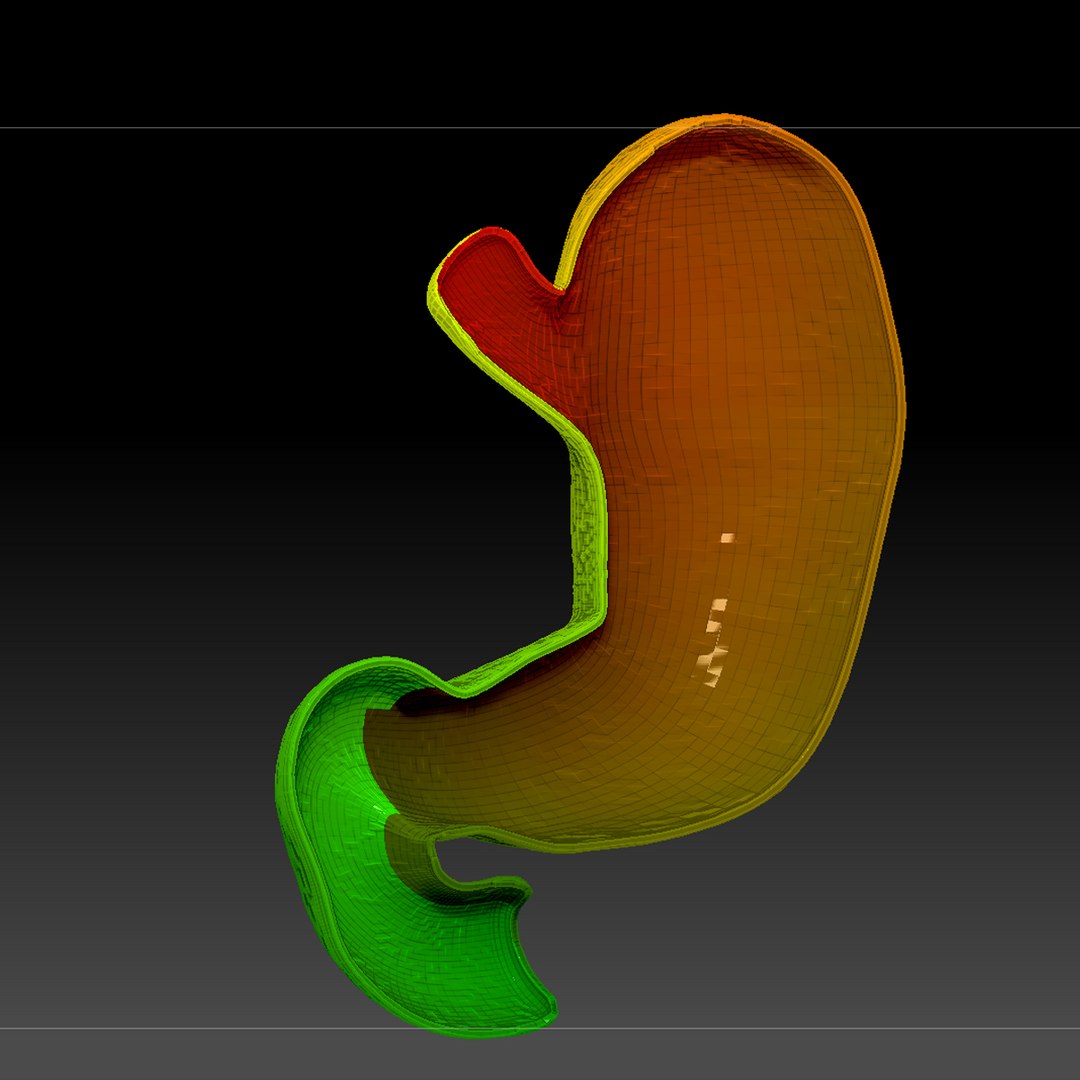3d human stomach veins arteries https://p.turbosquid.com/ts-thumb/kJ/S6x29d/gsi8qasf/uvmapping004/jpg/1362057873/1920x1080/fit_q87/8af04a569bacad41812e331710548faf9ec201c6/uvmapping004.jpg