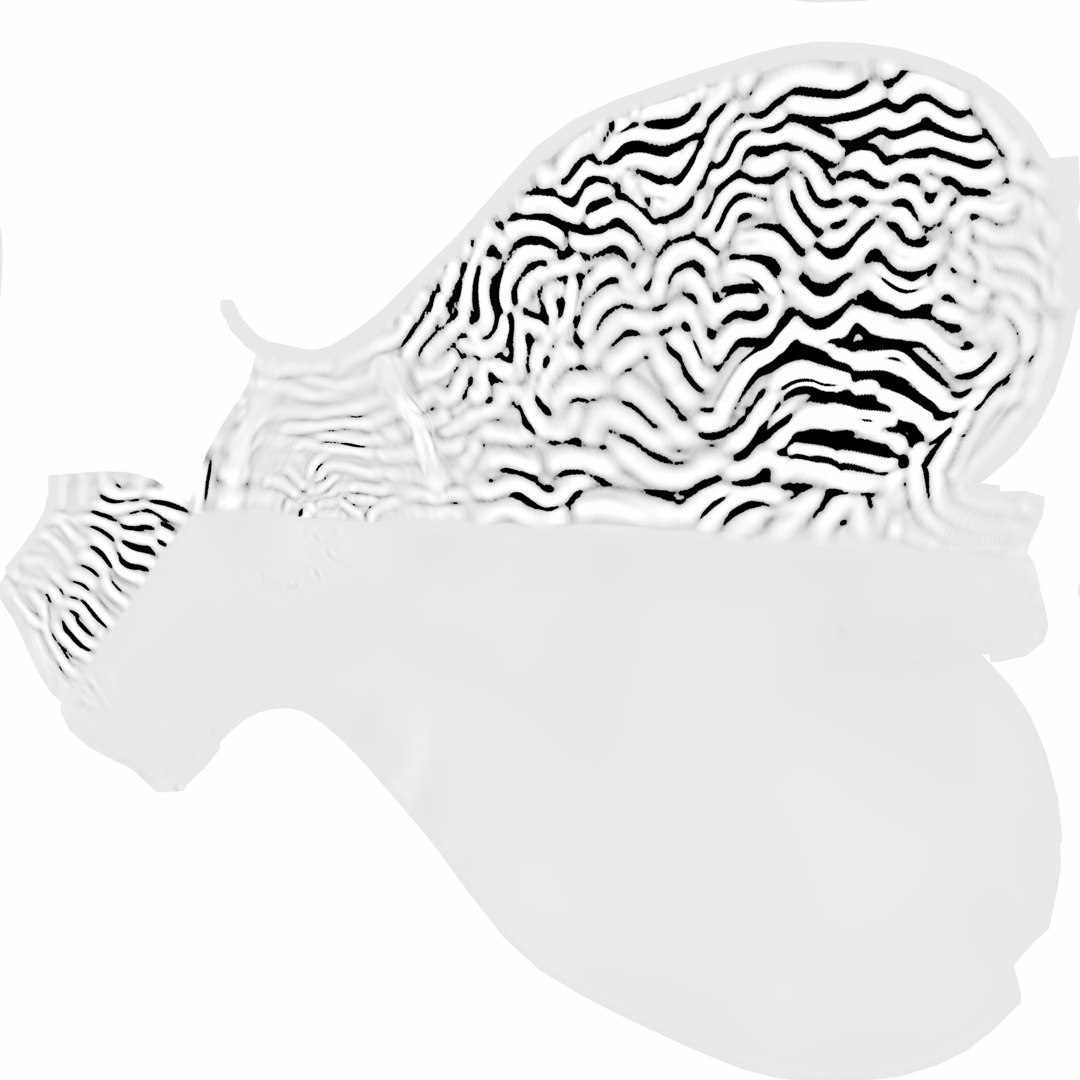 3d human stomach veins arteries https://p.turbosquid.com/ts-thumb/kJ/S6x29d/lVlhkDJC/mucosacave/jpg/1361780883/1920x1080/fit_q87/95e4e0b37e45aec22f681fd20da6f54c5d781a85/mucosacave.jpg