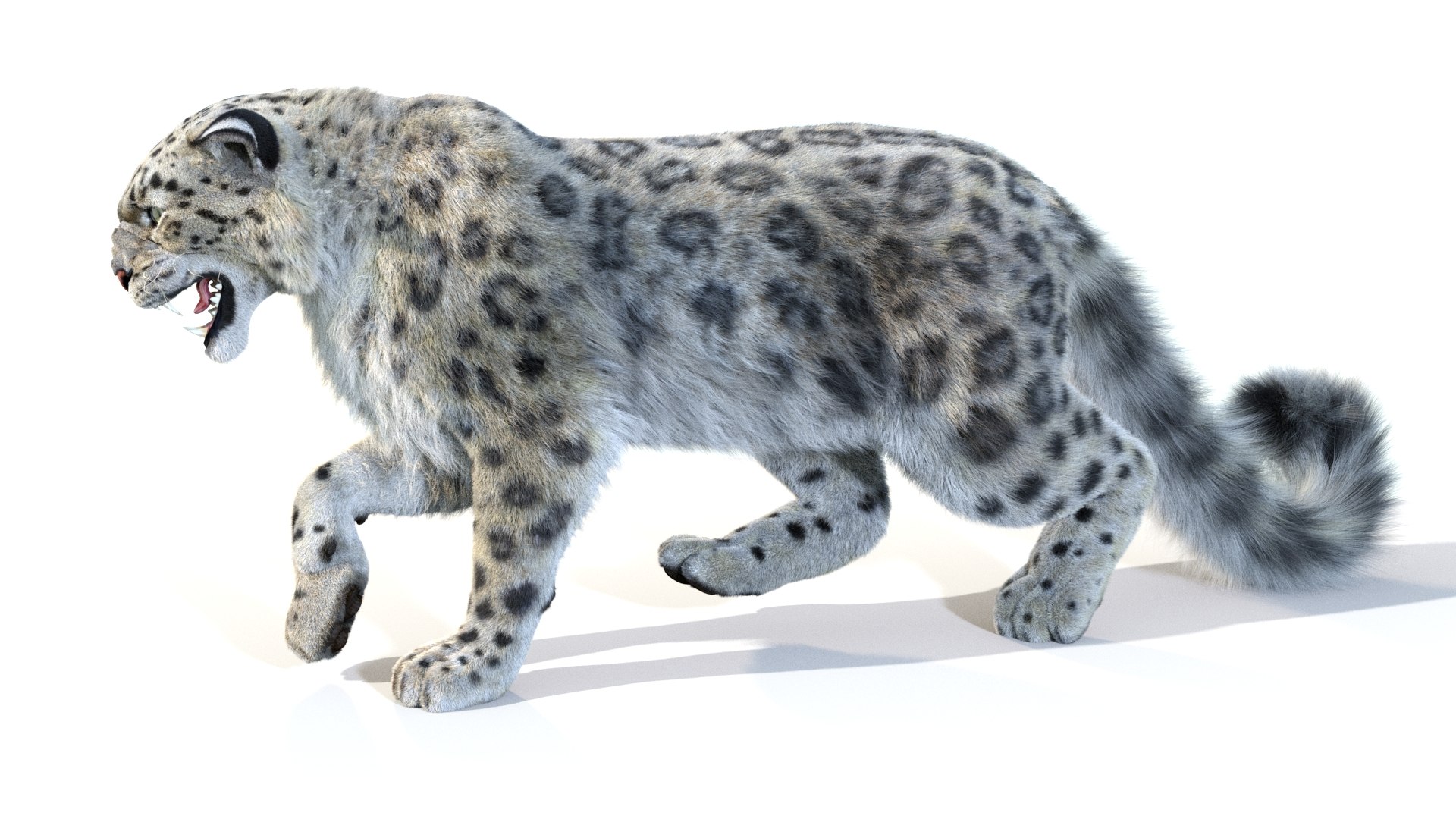 Snow Leopard 2 Furry 3D Model - TurboSquid 1418378