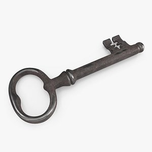 Classic Skeleton Key Steel 3D model