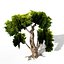 animated large tree model