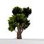 animated large tree model