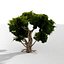 animated large tree model
