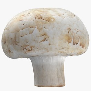 White Button Mushroom 05 Game Ready