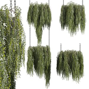 plant vol 871 - bush - hanging - ampelous model