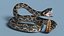 Rattlesnake Dark Rigged for Cinema 4D