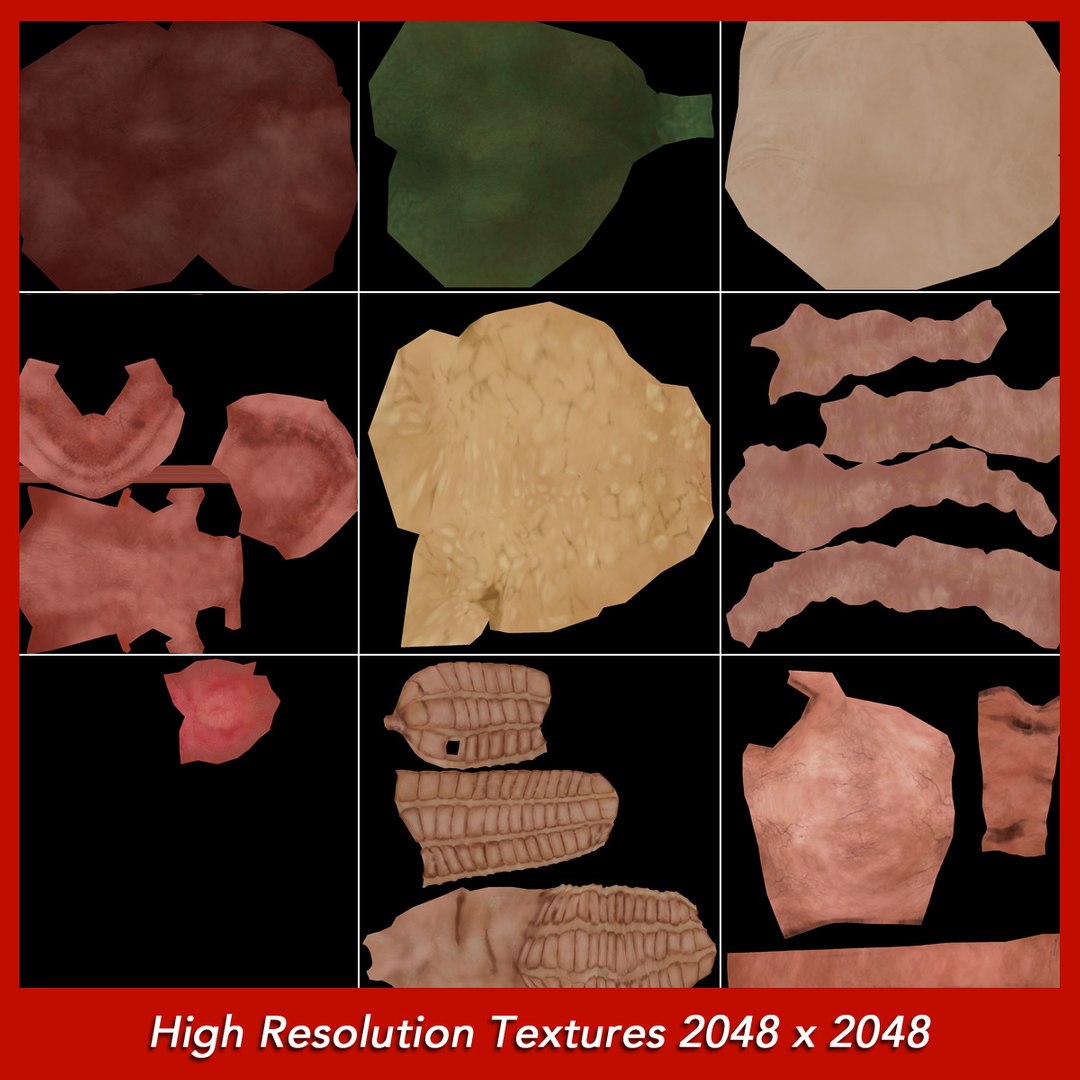 3d medically human digestive stomach https://p.turbosquid.com/ts-thumb/kJ/lvA84m/Rw72V4NE/digestive_uvs_01/jpg/1302875833/1920x1080/fit_q87/4d95222d89dcdc5b2dffe9630d2a0eb9e12dfe21/digestive_uvs_01.jpg