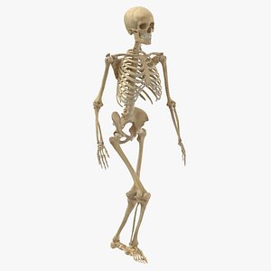 Real Human Female Skeleton Pose 21