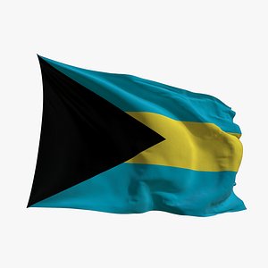 Realistic Animated Flag - Microtexture Rigged - Put your own texture - Def Bahamas