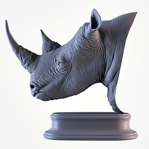 Rhinoceros