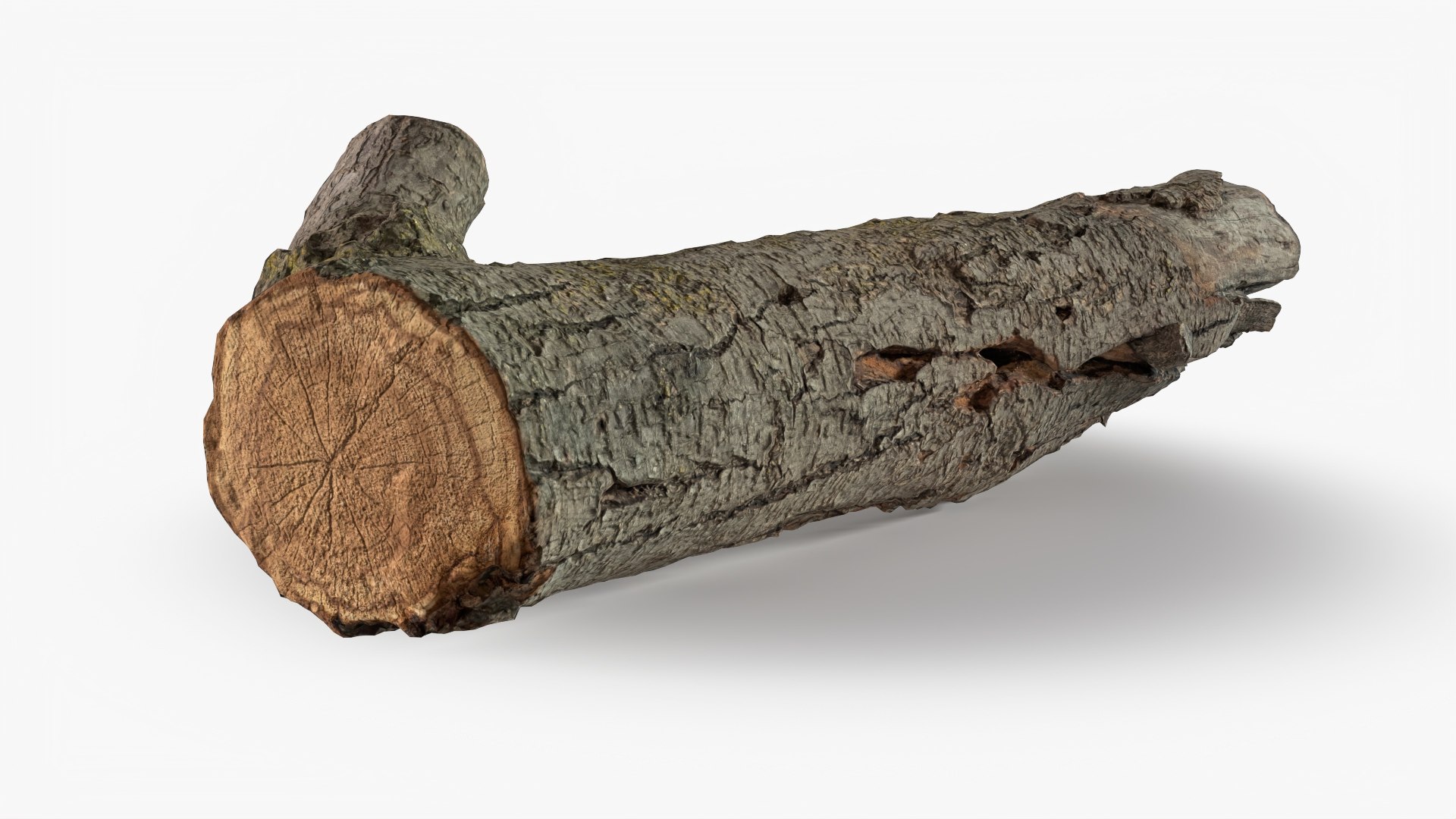 3D Tree Bark Scanned 8 StemCell model https://p.turbosquid.com/ts-thumb/kK/JLMBsF/9C/bark_08_p03/jpg/1726241834/1920x1080/fit_q87/5c78201cd64e54a96bd89adf37c74831e6afac28/bark_08_p03.jpg