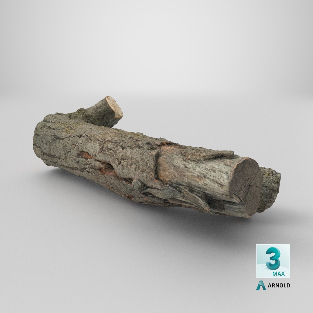 3D Tree Bark Scanned 8 StemCell model https://p.turbosquid.com/ts-thumb/kK/JLMBsF/9y/stemcell_max_arnold_render/png/1727792541/1920x1080/fit_q87/8187a2409fd80699da01e4471f9fb1651ad3a066/stemcell_max_arnold_render.jpg
