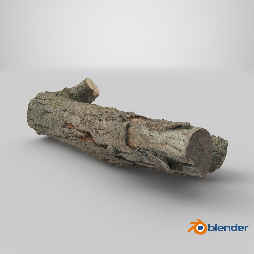 3D Tree Bark Scanned 8 StemCell model https://p.turbosquid.com/ts-thumb/kK/JLMBsF/Fs/stemcell_blender_cycles_render/png/1727792527/1920x1080/fit_q87/1c600fd7653ff95b5f41aee0958a7e5db10c90b6/stemcell_blender_cycles_render.jpg