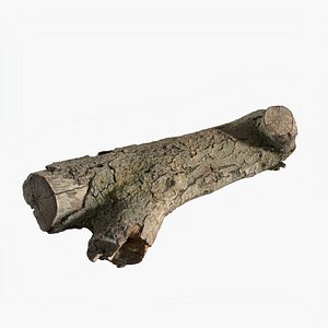 3D Tree Bark Scanned 8 StemCell model