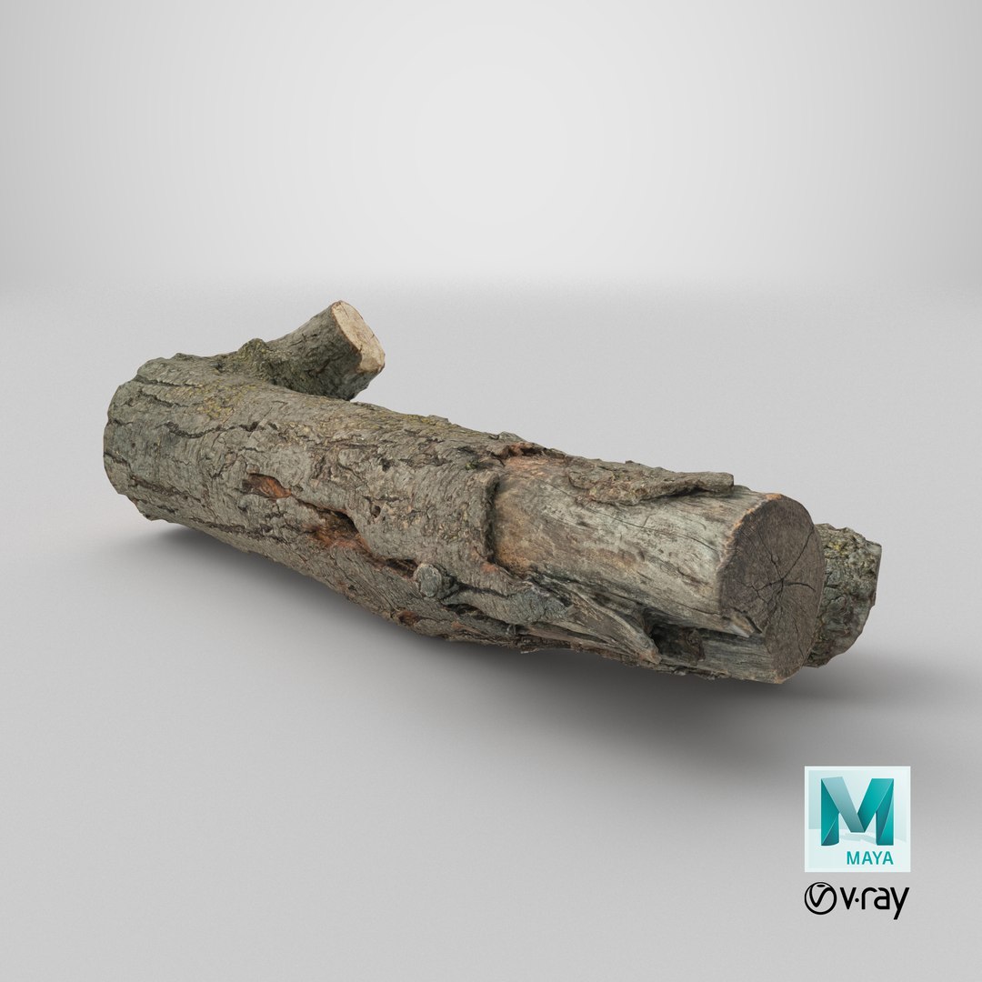 3D Tree Bark Scanned 8 StemCell model https://p.turbosquid.com/ts-thumb/kK/JLMBsF/SU/stemcell_maya_vray_render/png/1727792532/1920x1080/fit_q87/1b2b9845832ff27c5d3f00cefeca3dfa491661b1/stemcell_maya_vray_render.jpg