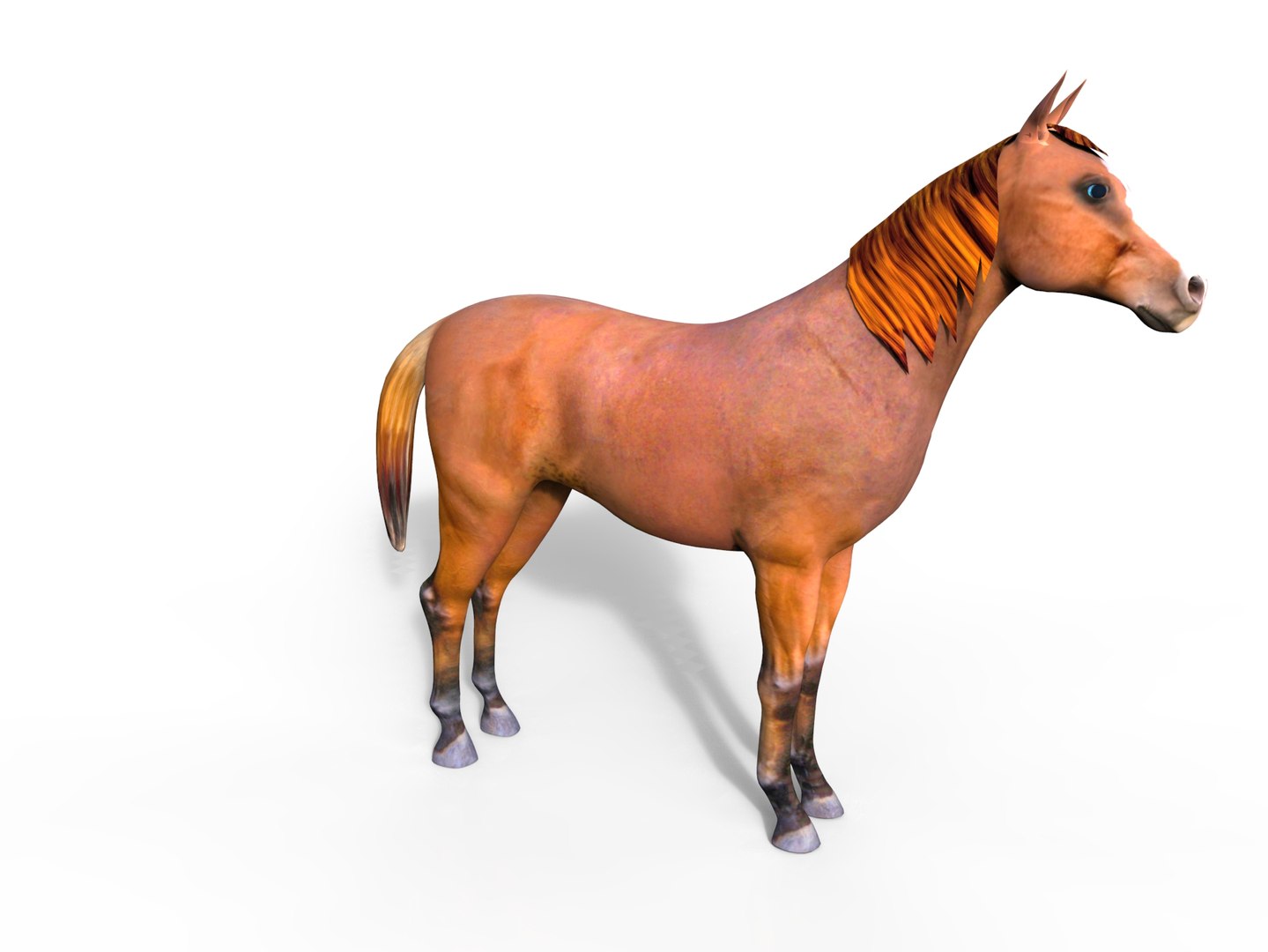 horse rigged max https://p.turbosquid.com/ts-thumb/kK/M7G7j9/E0qxfNTh/horse.109/jpg/1456897556/1920x1080/fit_q87/31c04ce1d65a61205a5c830e23df25104989e604/horse.109.jpg