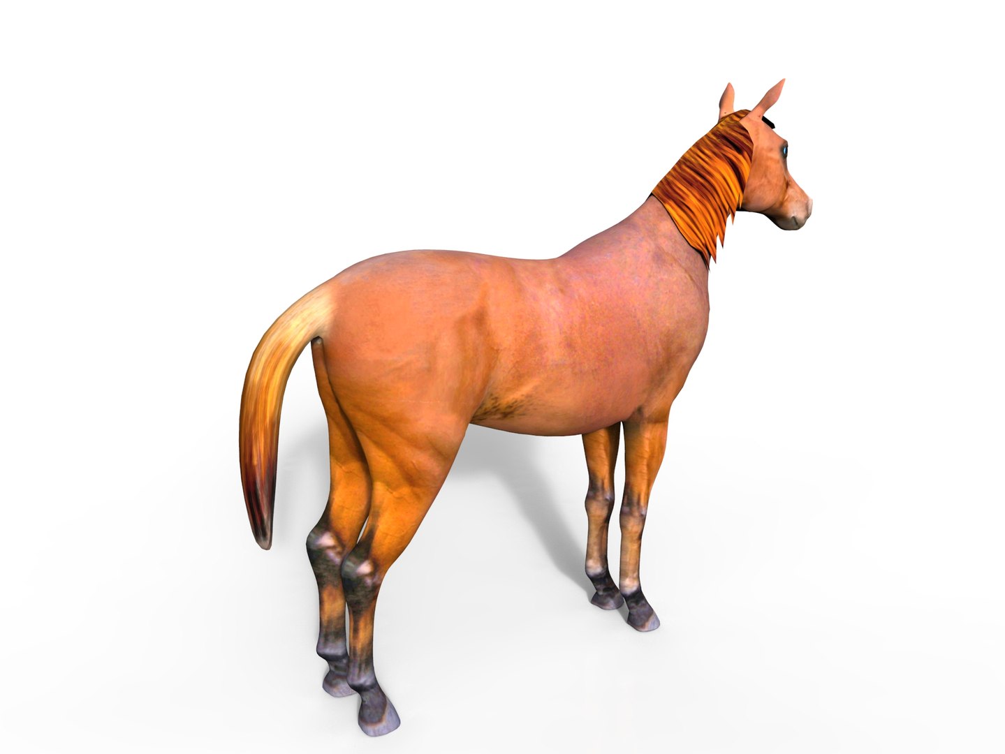 horse rigged max https://p.turbosquid.com/ts-thumb/kK/M7G7j9/fUAz6KyU/horse.83/jpg/1456897556/1920x1080/fit_q87/01eb16173962acffcb5ed41b70838aa7287e47eb/horse.83.jpg