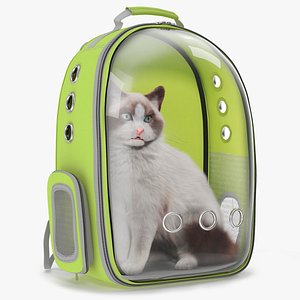 Longhaired Cat in Hard Shell Travel Backpack Fur for Cinema 4D 3D model