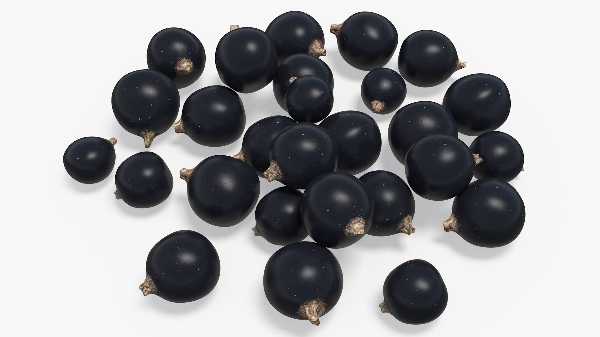 Blackcurrant 3D model preview