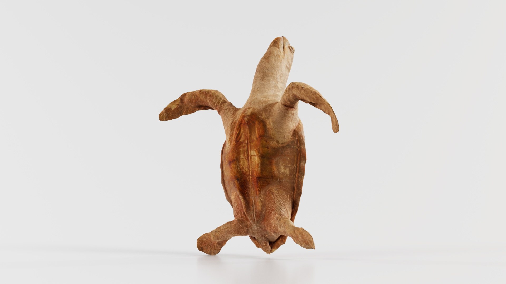 3D Sea Turtle Remastered https://p.turbosquid.com/ts-thumb/kK/XwIYOh/nI/sea_turtle_03/jpg/1740126861/1920x1080/fit_q87/4baa91c464e17256410abcc258d6b48817211e3b/sea_turtle_03.jpg