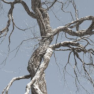 Braodleaf Tree Custom Seasons 09