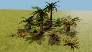 Tropical plants