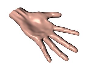 hand.c4d