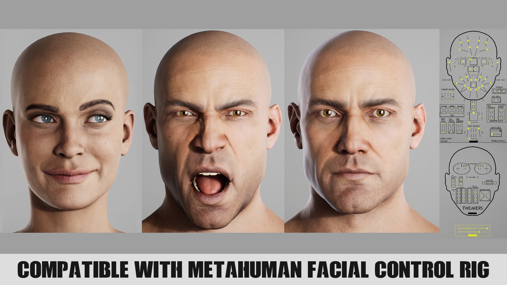 Modular Mega Bundle - Male Female 3D Model - TurboSquid 2546287