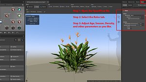 Heliconia psittacorum - SpeedTree