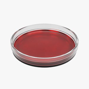 3D Petri Dish with Blood model