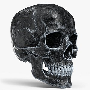 Human Skull Sci-fi Ice A model