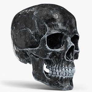 Human Skull Sci-fi Ice A