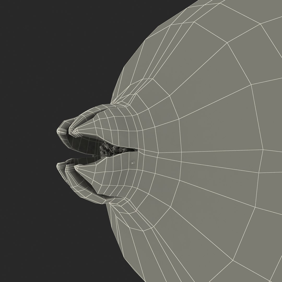 pomegranate 2 modeled c4d https://p.turbosquid.com/ts-thumb/kL/VsGlGM/gBj80h8g/pomegranate3dmodel25/jpg/1427532065/1920x1080/fit_q87/49662ce4c469f4ae13d6c682169a69f0a5145594/pomegranate3dmodel25.jpg