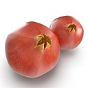 Pomegranate 2 3D Model