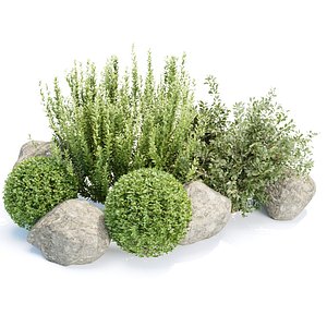 Garden Plants and Rocks Collection V351 3D model
